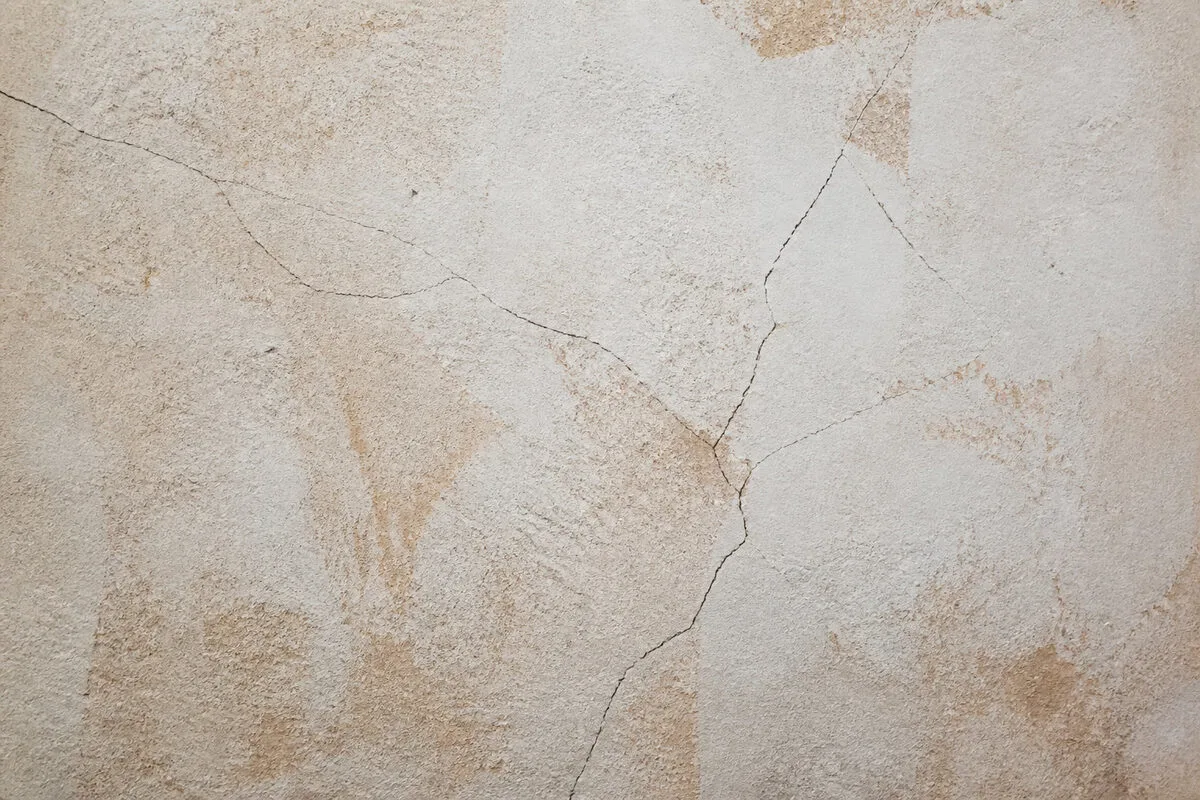 Débusquer les ombres des biais cognitifs 🧠
