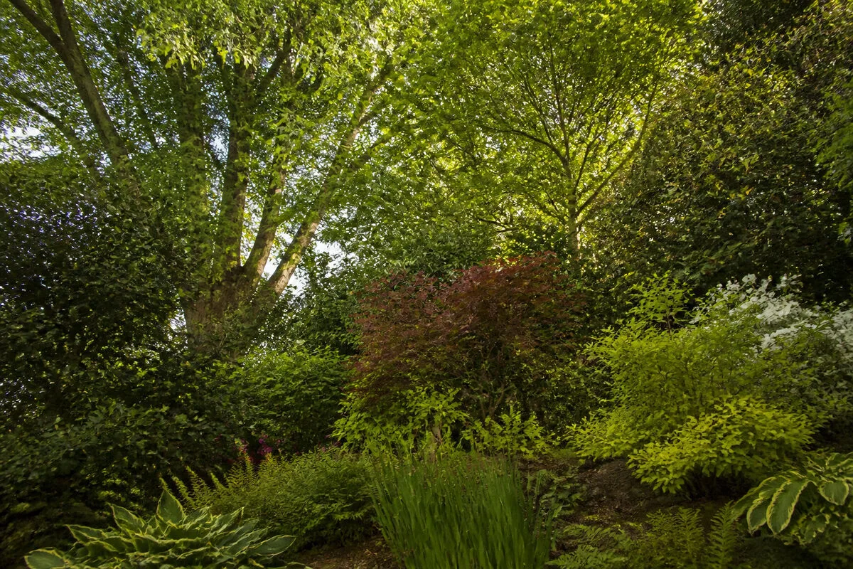 Structurer le volume par les strates végétales et les sols 🌳