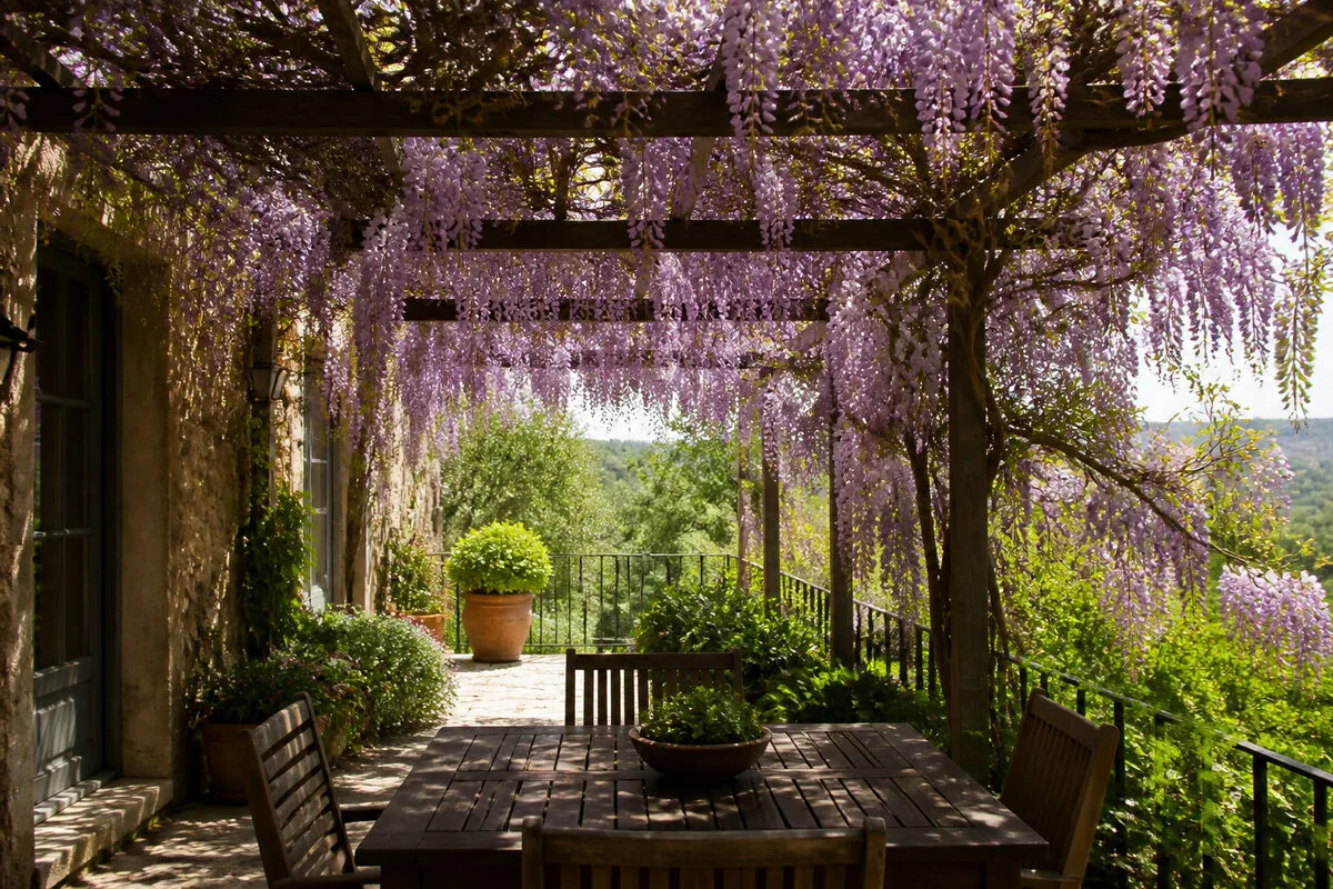 Comment végétaliser et ombrager votre espace avec élégance ? 🌸