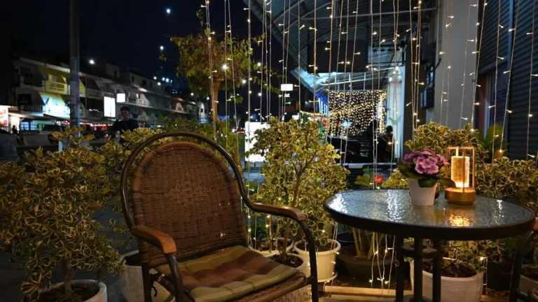 Balcon long et étroit aménagé avec chaise pliante plantes verticales et passage dégagé